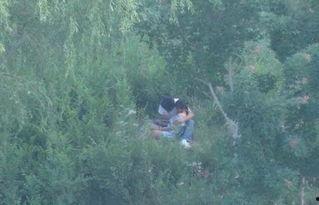 国产树林野战在线播放,热血激战,在线热血沸腾