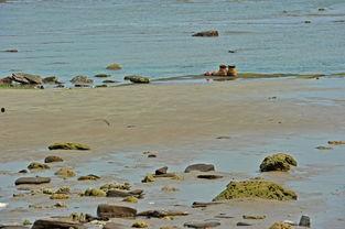 爱情岛国产,探寻异域风情的爱情秘境