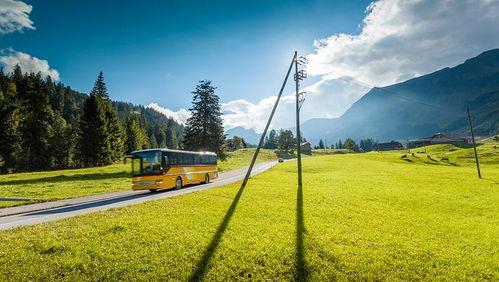 国产吃瓜婊 第3页