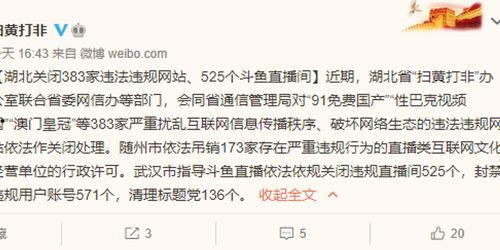 91在线视频国产,国产生态下的创新与崛起