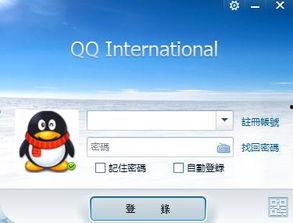 91国外版,探索全球应用市场的无限可能