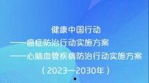 久综合国产,崛起之路与辉煌成就
